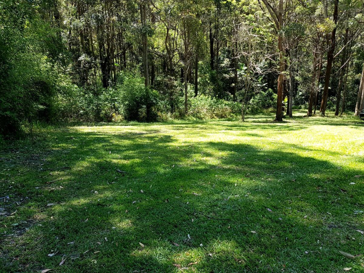 Forest View *