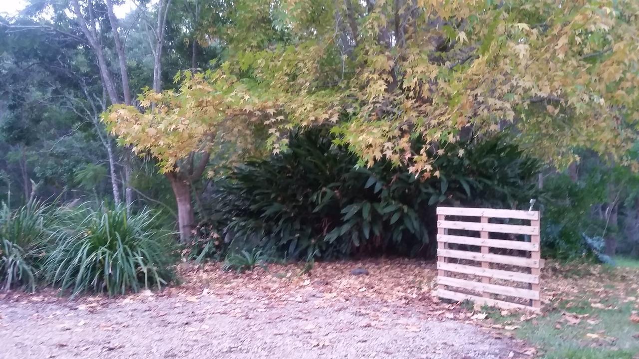 Forest View * Nambucca Heads