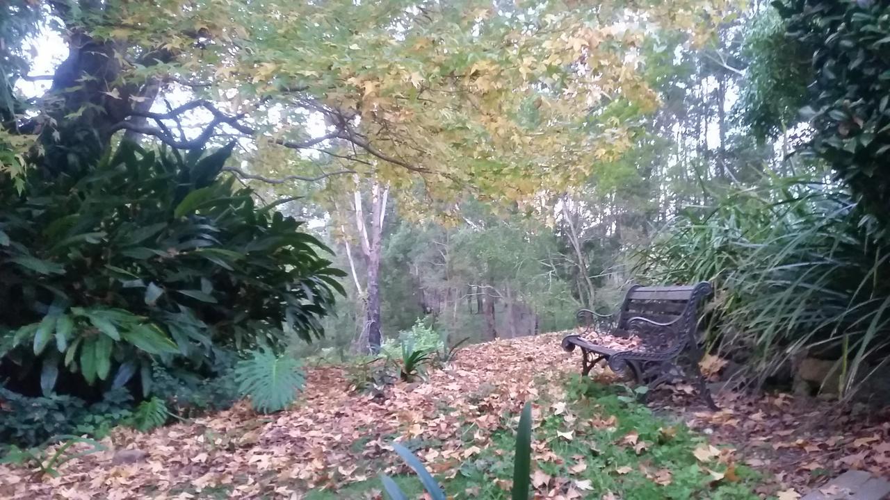 Forest View Country house Nambucca Heads