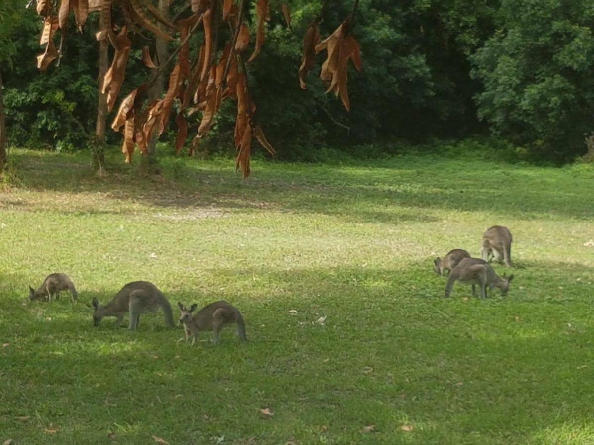 Country house Forest View