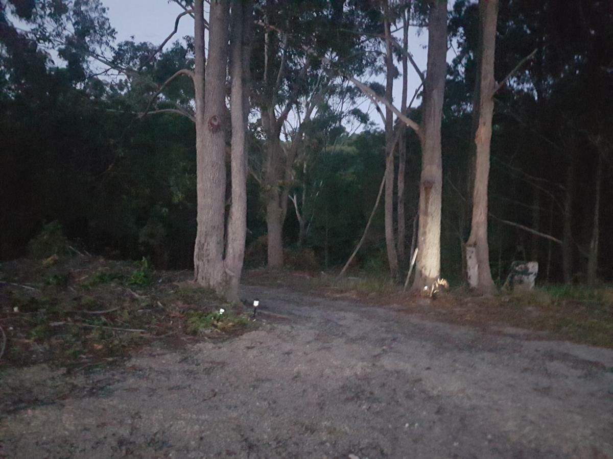 Country house Forest View